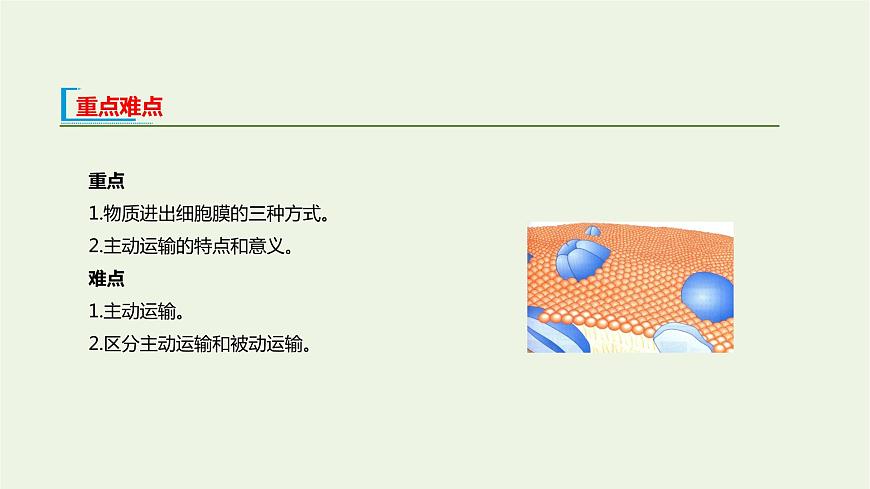新人教版高中生物必修1第4章細胞的物質(zhì)輸入和輸出第2節(jié)主動運輸與胞吞胞吐課件第3頁