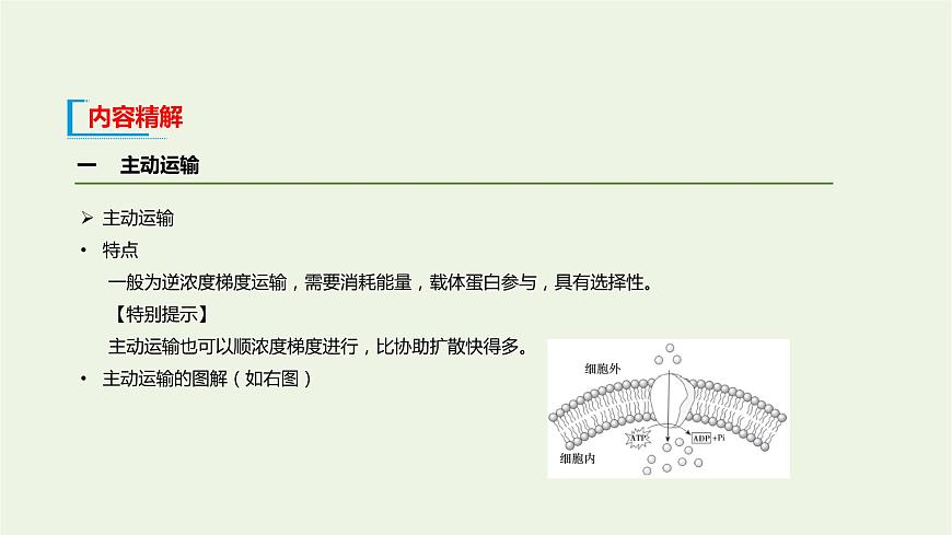 新人教版高中生物必修1第4章細胞的物質(zhì)輸入和輸出第2節(jié)主動運輸與胞吞胞吐課件第6頁