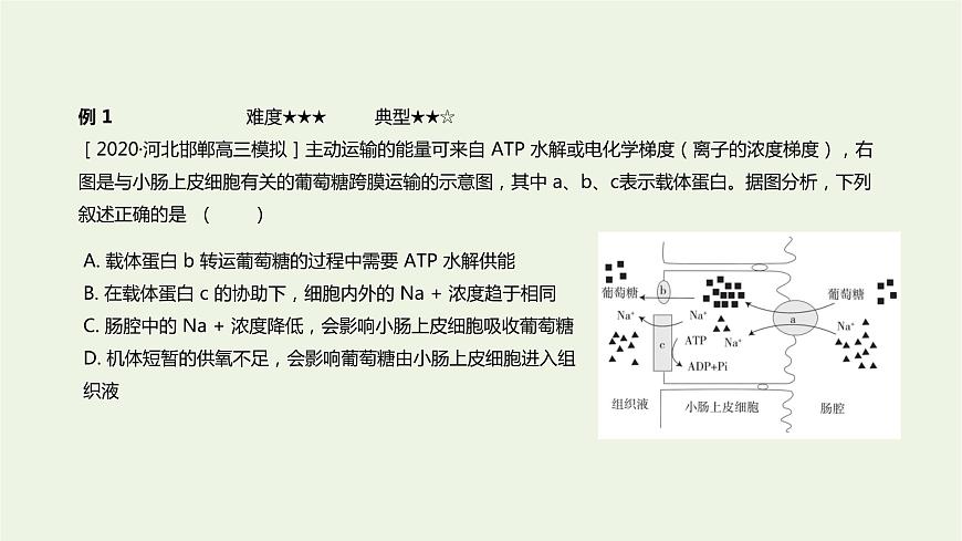 新人教版高中生物必修1第4章細胞的物質(zhì)輸入和輸出第2節(jié)主動運輸與胞吞胞吐課件第8頁