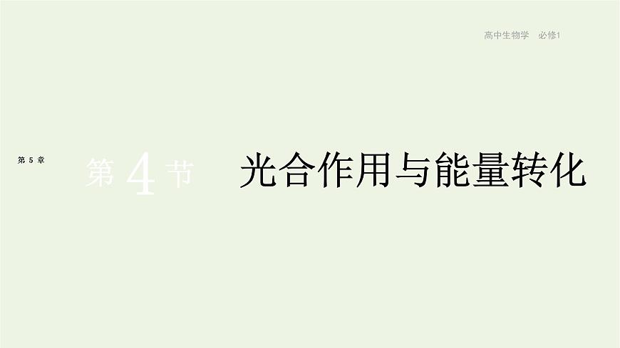 新人教版高中生物必修1第5章細(xì)胞的能量供應(yīng)和利用第4節(jié)光合作用與能量轉(zhuǎn)化課件第1頁