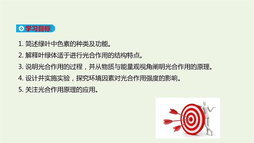 新人教版高中生物必修1第5章細(xì)胞的能量供應(yīng)和利用第4節(jié)光合作用與能量轉(zhuǎn)化課件第2頁