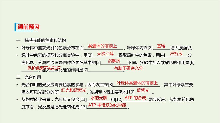 新人教版高中生物必修1第5章細(xì)胞的能量供應(yīng)和利用第4節(jié)光合作用與能量轉(zhuǎn)化課件第4頁