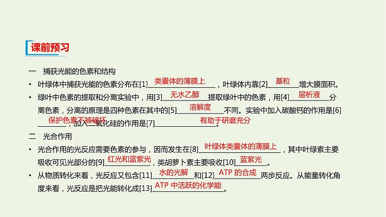 新人教版高中生物必修1第5章细胞的能量供应和利用第4节光合作用与能量转化课件04