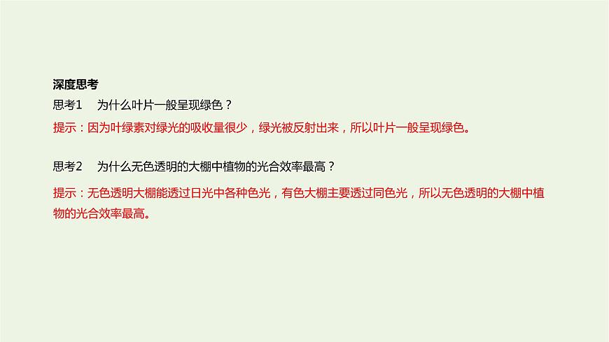 新人教版高中生物必修1第5章細(xì)胞的能量供應(yīng)和利用第4節(jié)光合作用與能量轉(zhuǎn)化課件第7頁