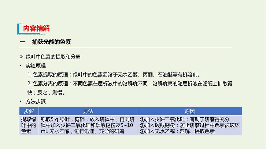 新人教版高中生物必修1第5章細(xì)胞的能量供應(yīng)和利用第4節(jié)光合作用與能量轉(zhuǎn)化課件第8頁