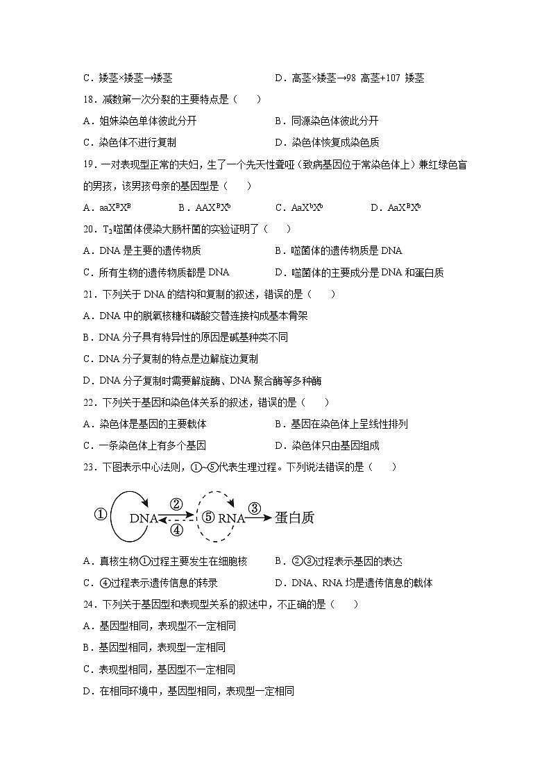 2022年6月北京市普通高中学业水平合格性考试生物仿真模拟试卷04(原卷版)03