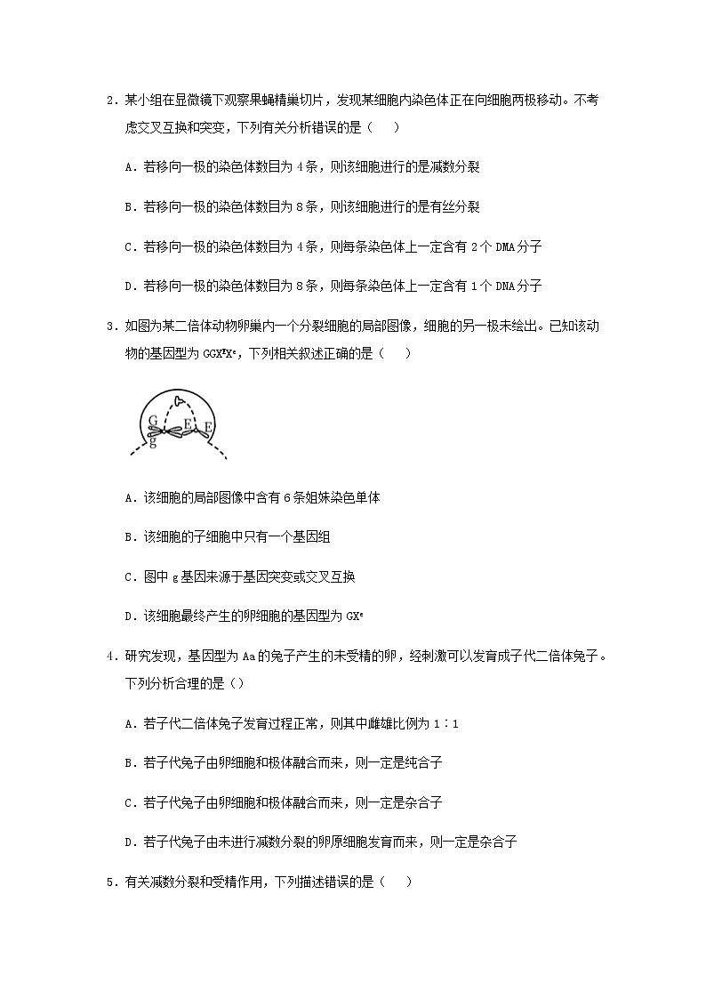 新教材高一生物下学期暑假训练3减数分裂和受精作用基因在染色体上含答案02