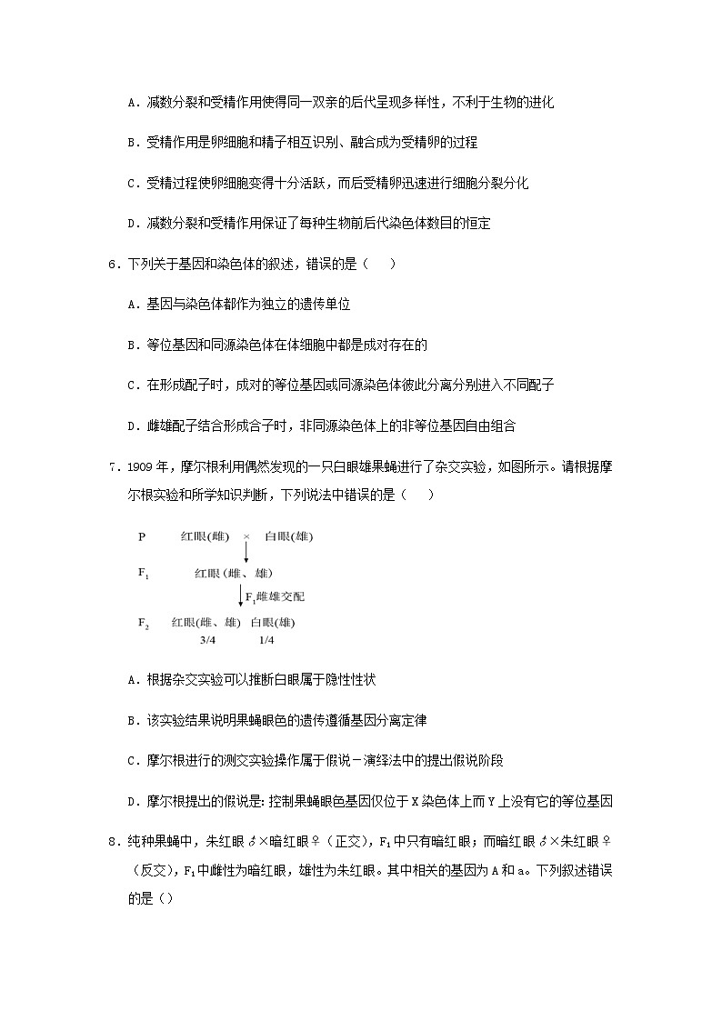 新教材高一生物下学期暑假训练3减数分裂和受精作用基因在染色体上含答案03