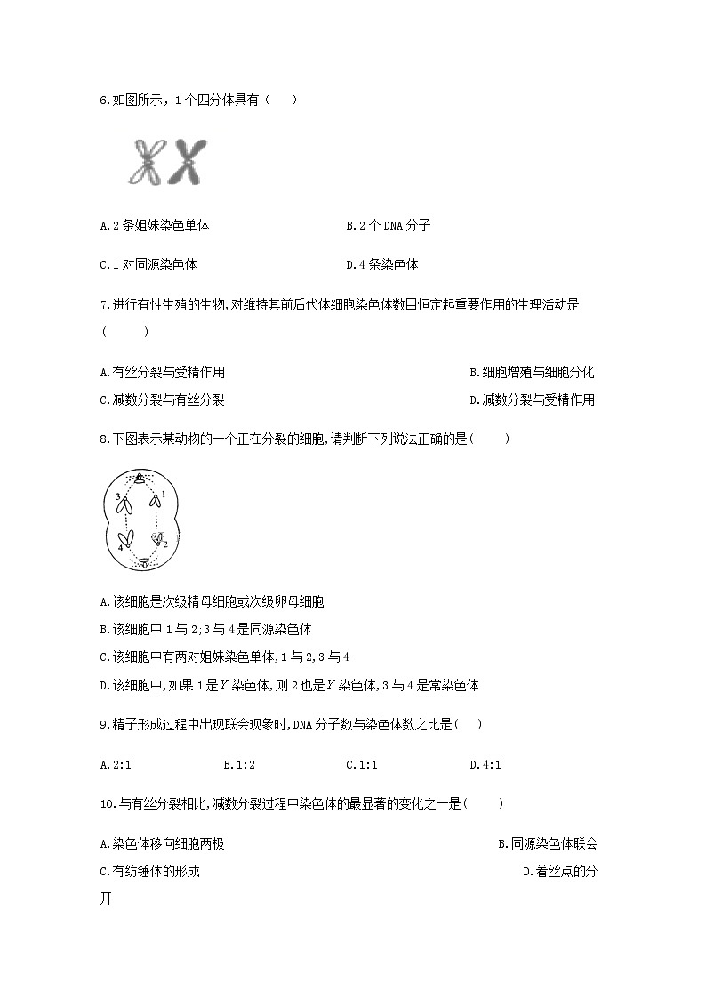 高中生物暑假作业02孟德尔的豌豆杂交实验二能力提升含解析第2页