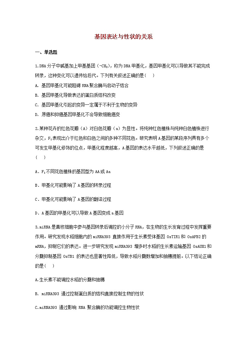 高中生物暑假作業(yè)11基因表達(dá)與性狀的關(guān)系能力提升含解析第1頁(yè)