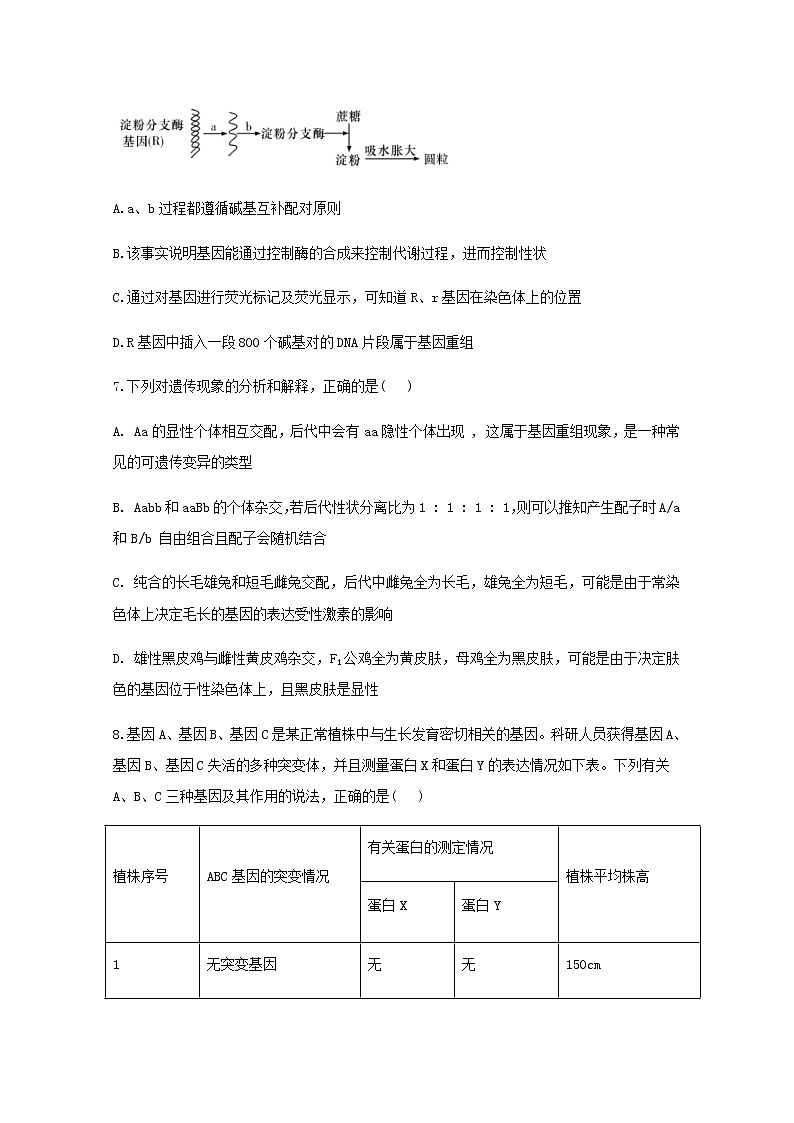 高中生物暑假作業(yè)11基因表達(dá)與性狀的關(guān)系能力提升含解析第3頁(yè)