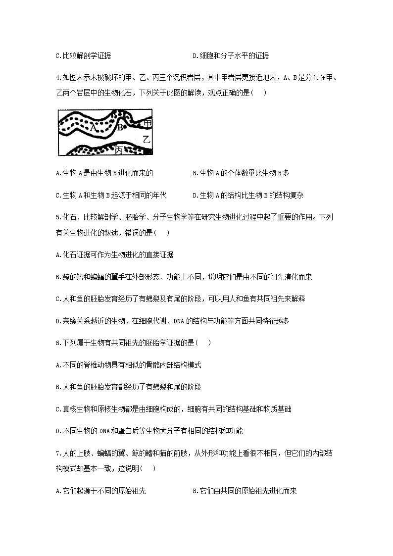 高中生物暑假作業(yè)15生物有共同祖先的證據(jù)能力提升含解析第2頁