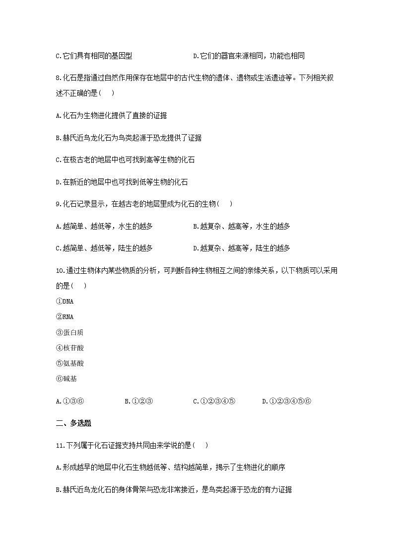 高中生物暑假作業(yè)15生物有共同祖先的證據(jù)能力提升含解析第3頁