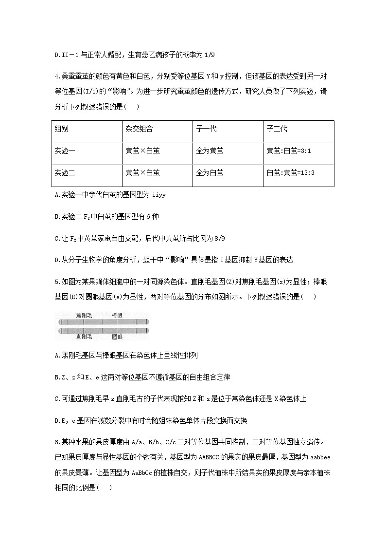 高中生物暑假作業(yè)19專項訓練一遺傳的基本規(guī)律綜合能力提升含解析第2頁