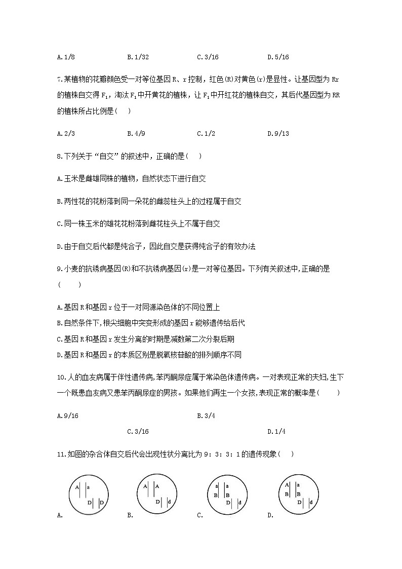 高中生物暑假作業(yè)19專項訓練一遺傳的基本規(guī)律綜合能力提升含解析第3頁