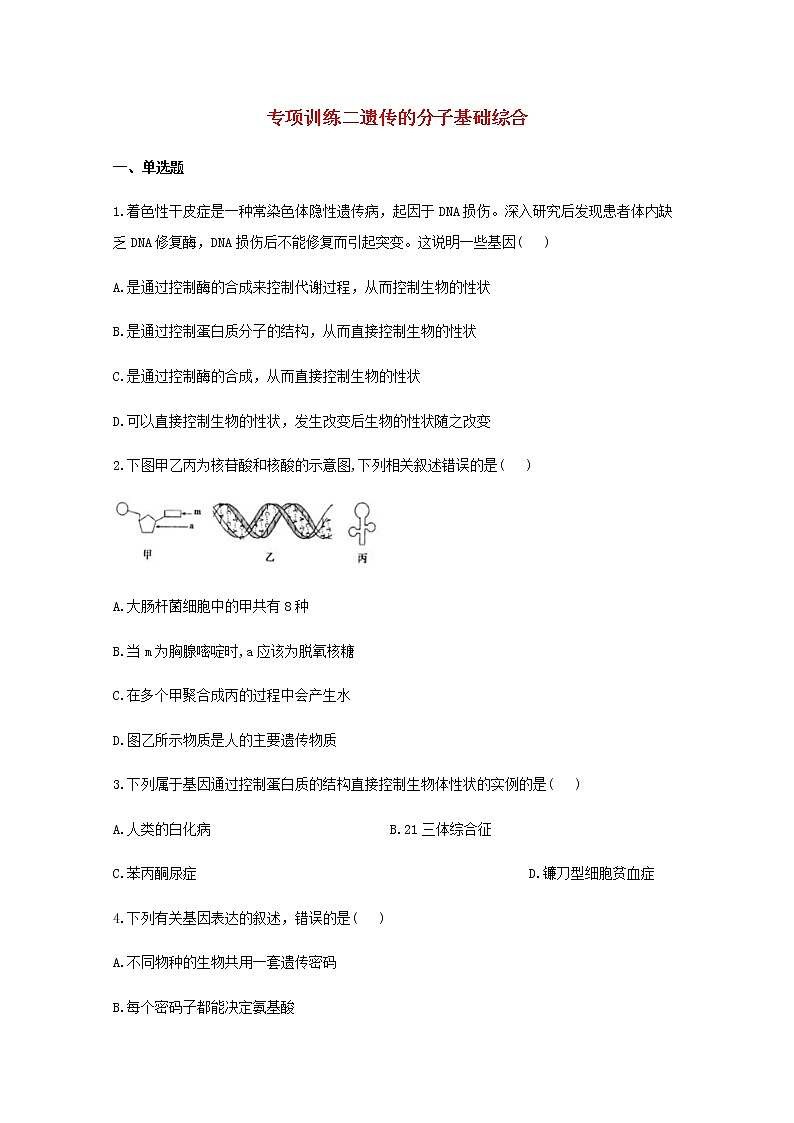 高中生物暑假作业20专项训练二遗传的分子基础综合能力提升含解析第1页