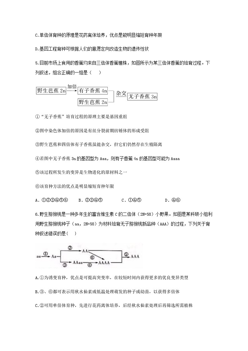 高中生物暑假作業(yè)21專項訓(xùn)練三生物的變異與育種綜合能力提升含解析第2頁