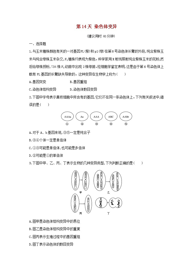 新教材高中生物暑假作业第14天染色体变异含解析第1页