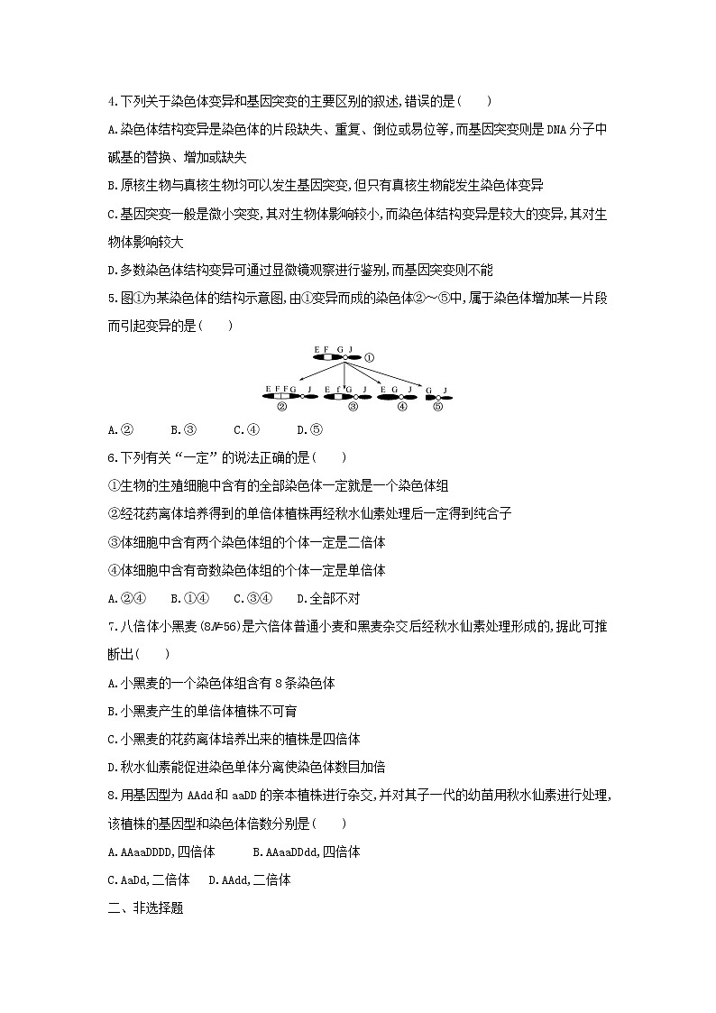 新教材高中生物暑假作业第14天染色体变异含解析第2页