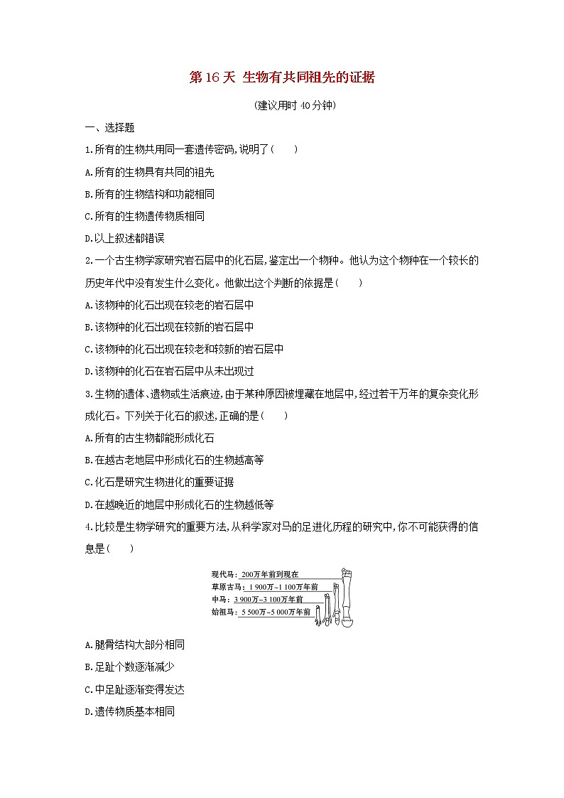新教材高中生物暑假作业第16天生物有共同祖先的证据含解析第1页