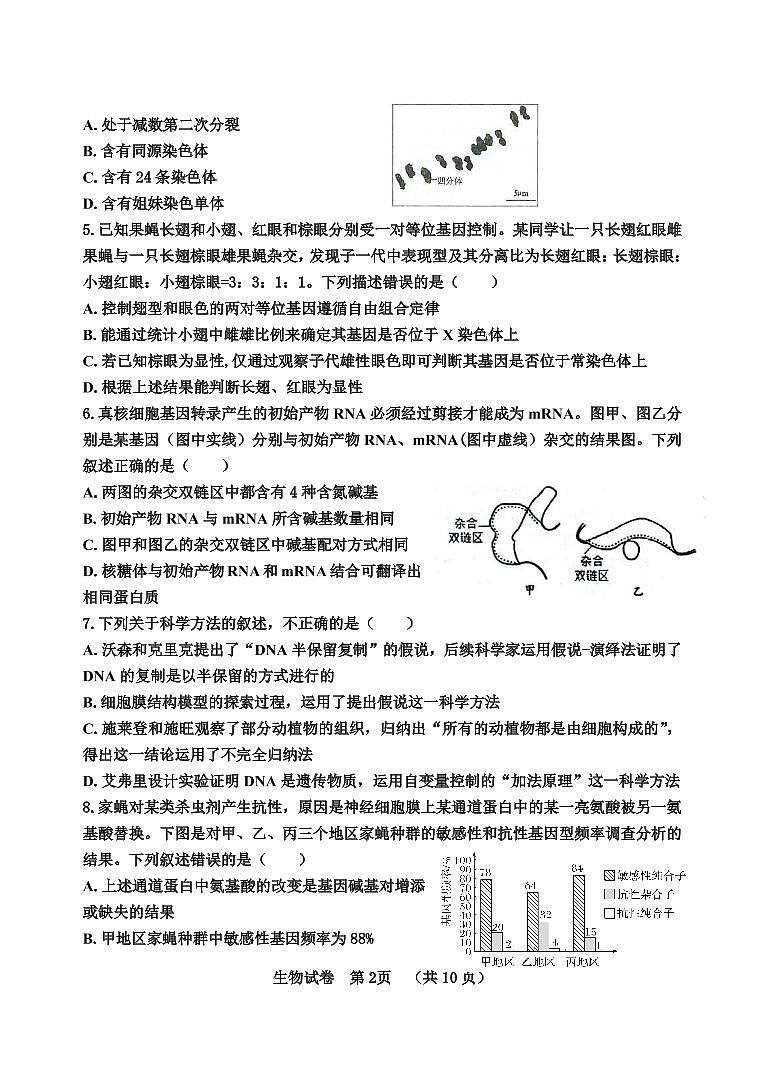 河北省“五个一”名校联盟2023届高三年级摸底考试生物试卷第2页