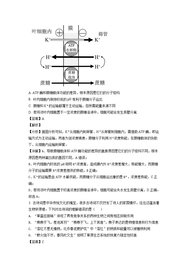2022湖南省部分校高二下学期基础学科知识竞赛生物试卷含解析02