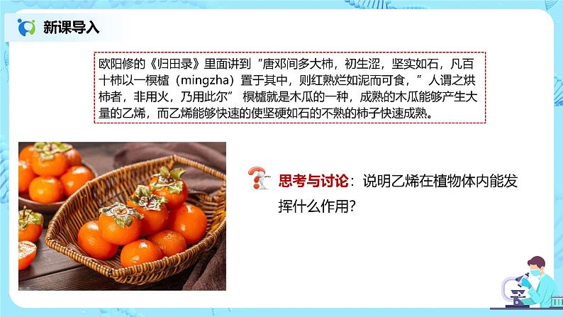 第二节《其他植物激素》课件+教案03