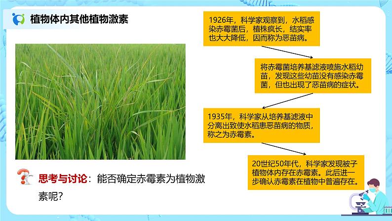 第二节《其他植物激素》课件+教案05