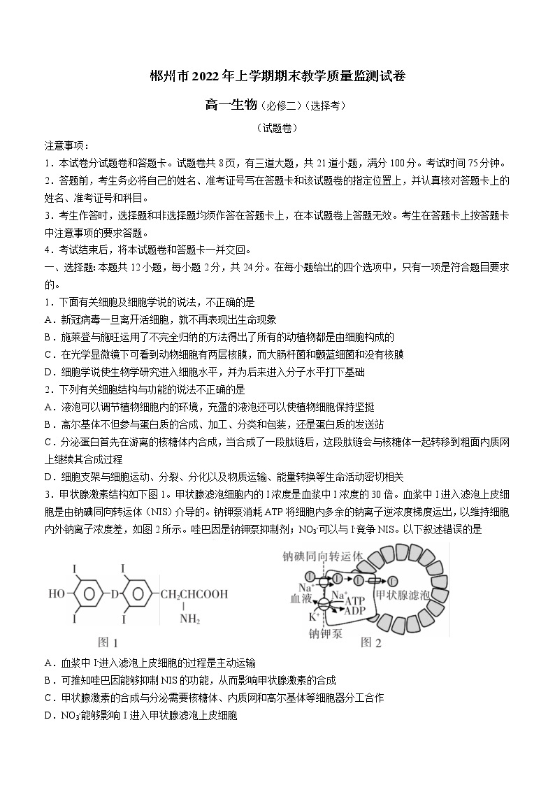 湖南省郴州市2021-2022学年高一下学期期末生物试题（含答案）01