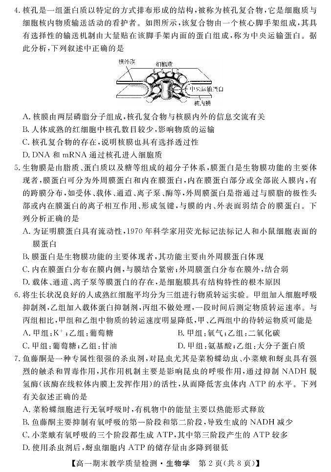湖北省襄陽市普通高中2021-2022學(xué)年高一下學(xué)期期末教學(xué)質(zhì)量檢測統(tǒng)一測試生物試題第2頁