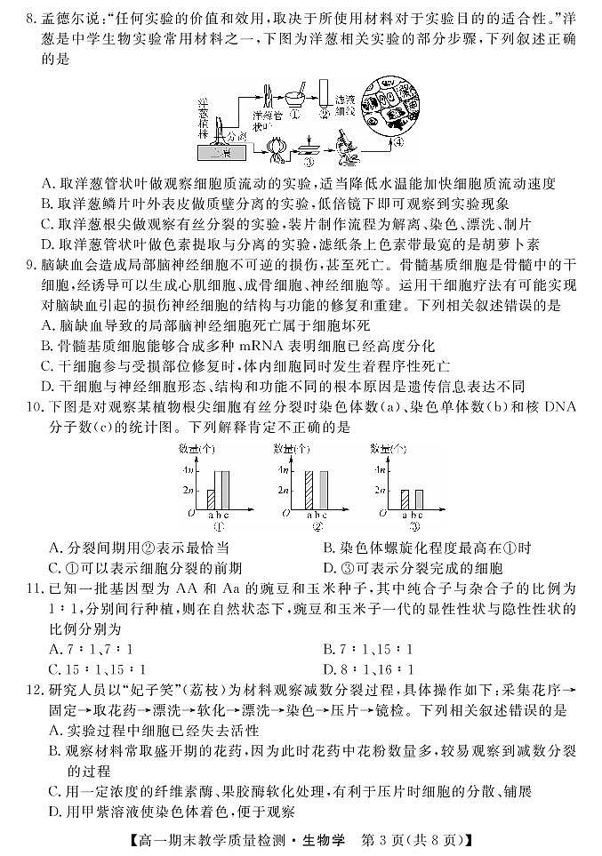 湖北省襄陽市普通高中2021-2022學(xué)年高一下學(xué)期期末教學(xué)質(zhì)量檢測統(tǒng)一測試生物試題第3頁
