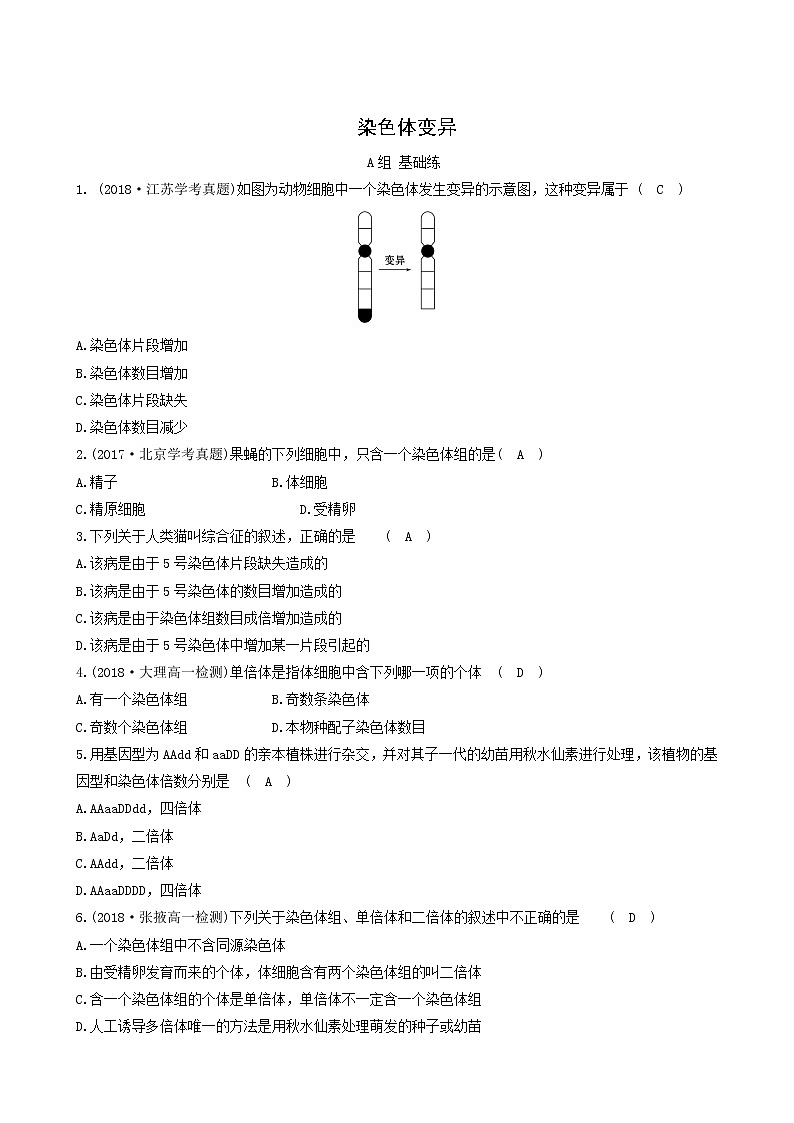 人教版高中生物必修2分层训练5.2染色体变异含答案01