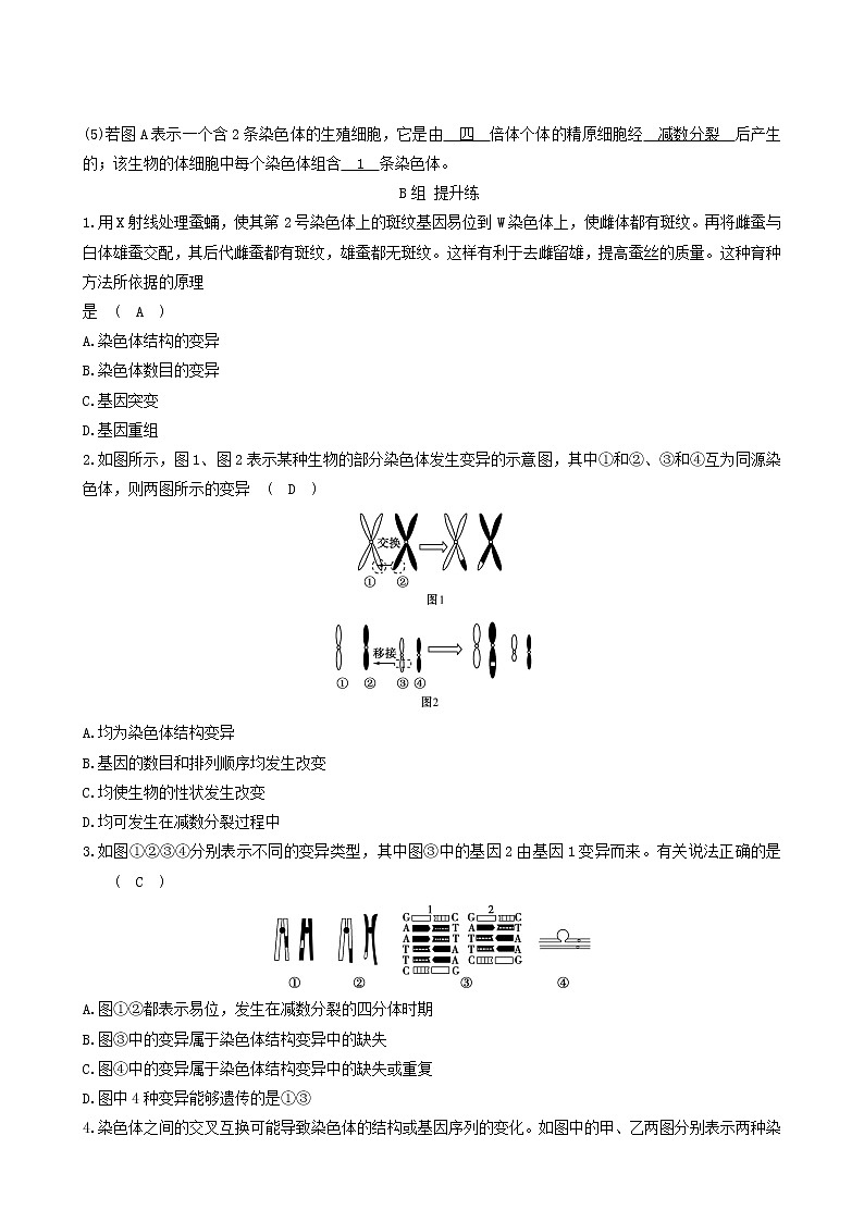 人教版高中生物必修2分层训练5.2染色体变异含答案03