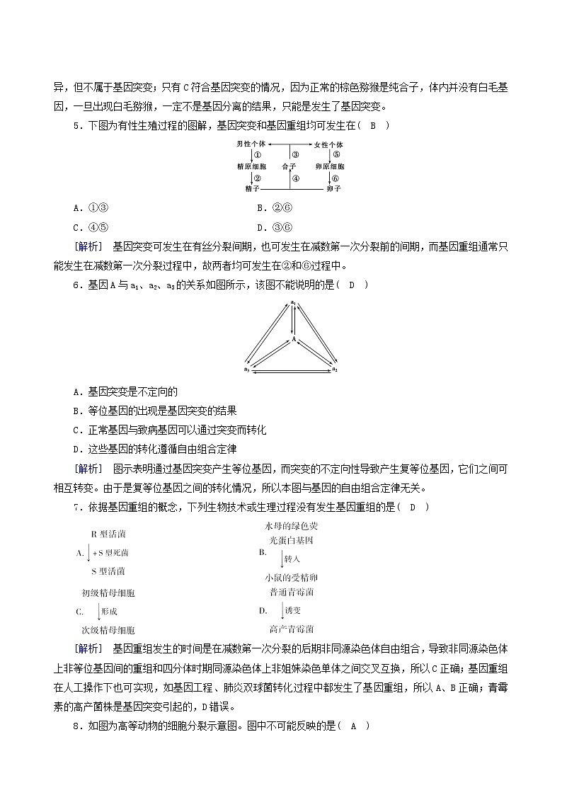 人教版高中生物必修2第5章基因突变及其他变异第1节基因突变和基因重组练习含答案02