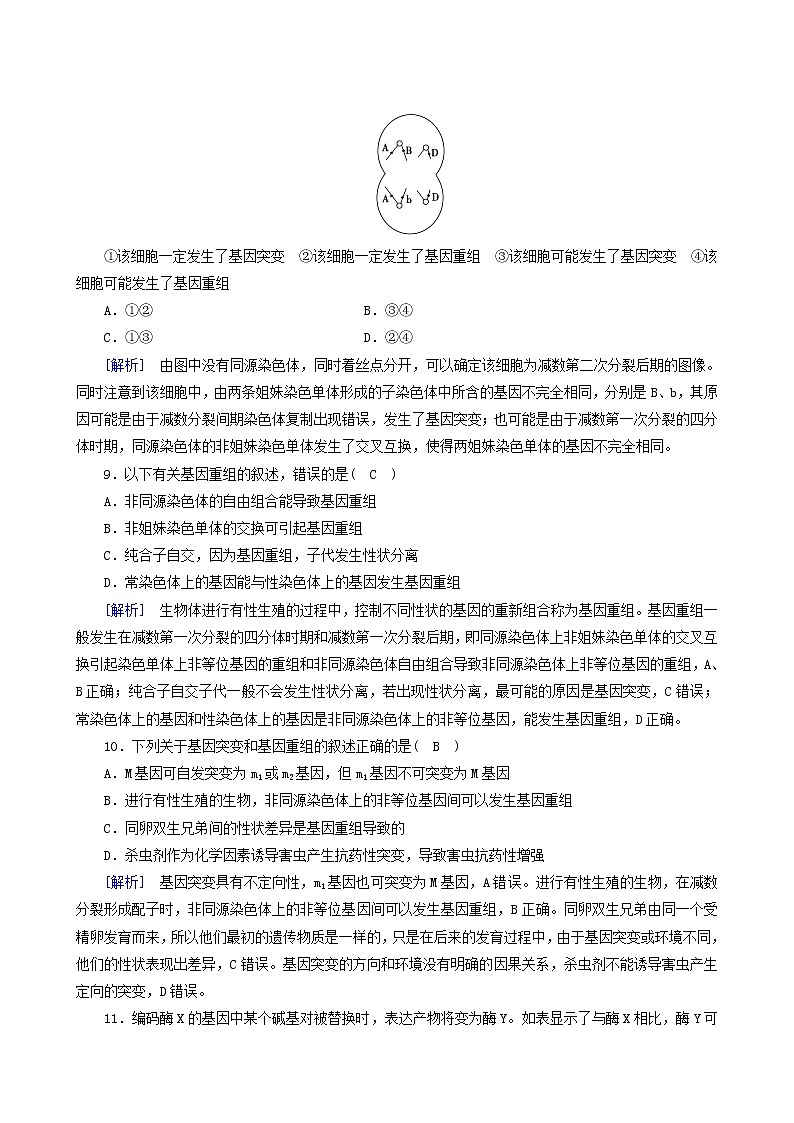 人教版高中生物必修2第5章基因突变及其他变异第1节基因突变和基因重组练习含答案03