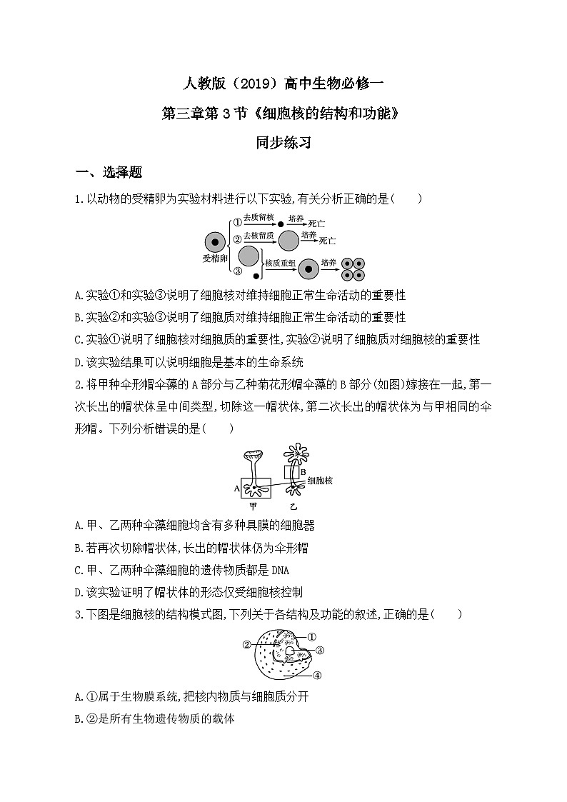 3.3《细胞核的结构和功能》教案+课件+练习01