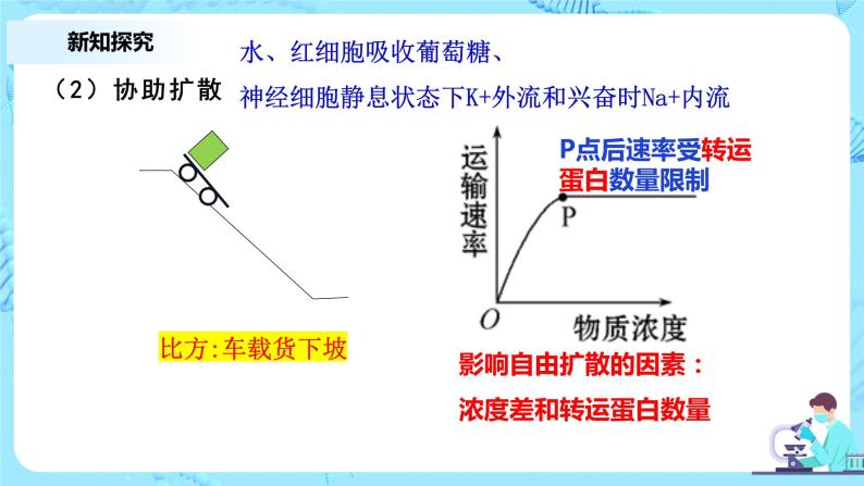 4.1.2《被动运输》第2课时教案+课件+练习07