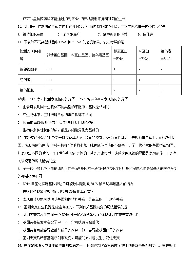 山西省吕梁市2021-2022学年高一下学期期末生物试题(原卷版)第3页