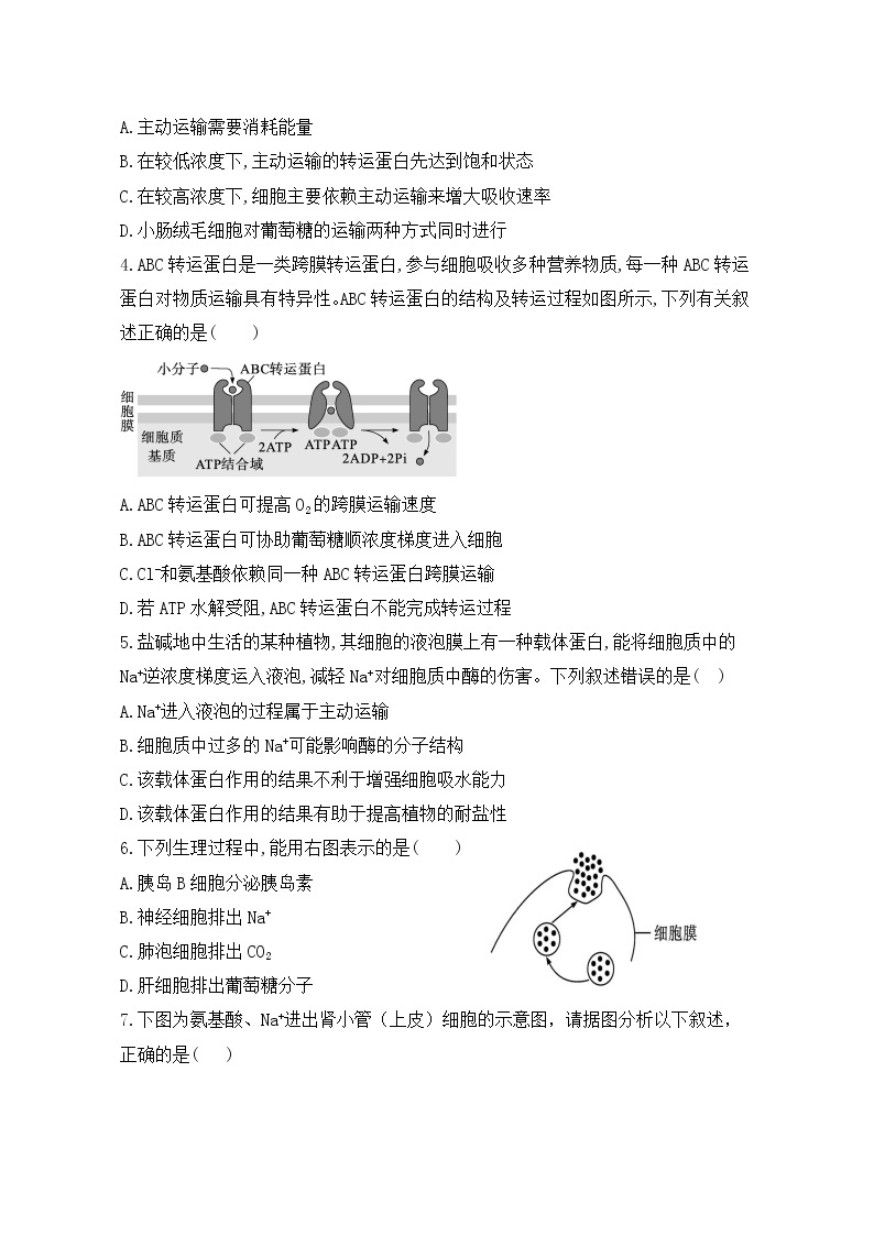 4.2《主动运输与胞吞、胞吐》课件+教案+练习02