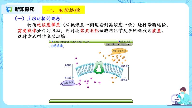 4.2《主动运输与胞吞、胞吐》课件+教案+练习05