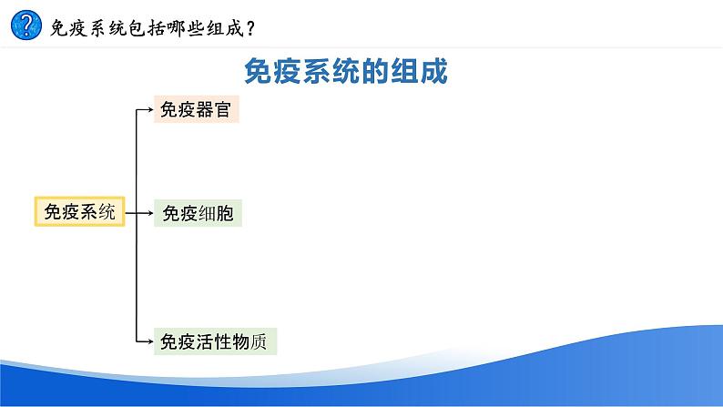 高中生物 免疫系统的组成和功能ppt 课件第4页