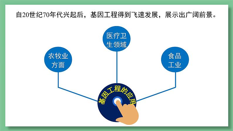 高中生物 基因工程的应用 PPT课件03