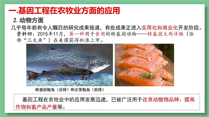 高中生物 基因工程的应用 PPT课件05