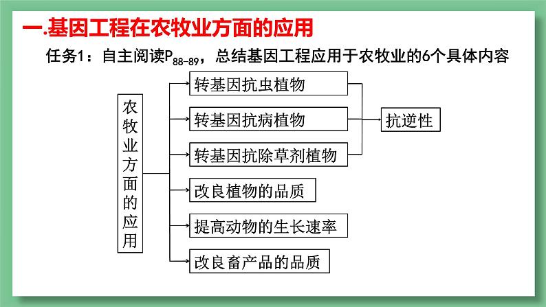 高中生物 基因工程的应用 PPT课件06