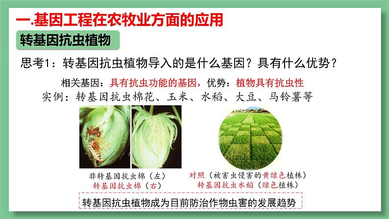 高中生物 基因工程的应用 PPT课件07