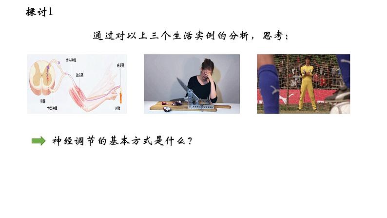 高中生物 神经调节的基本方式 神经调节的基本方式(使用版) 课件第6页