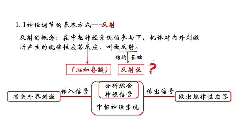 高中生物 神经调节的基本方式 神经调节的基本方式(使用版) 课件第7页