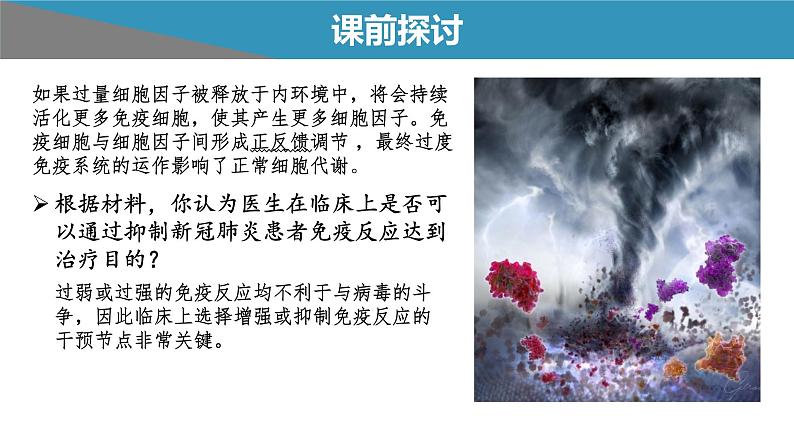 高中生物 免疫失调——免疫调节中的信息错乱 课件第4页