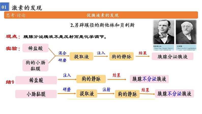 高中生物 激素与内分泌系统(第1课时) 课件第8页