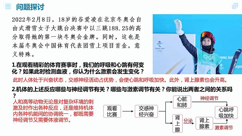 高中生物 体液调节与神经调节的关系(第二课时) 课件第3页